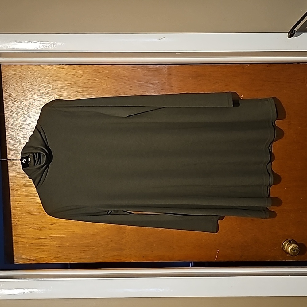 Turtleneck Long Sleeve Swing Dress -  Olive, Size M